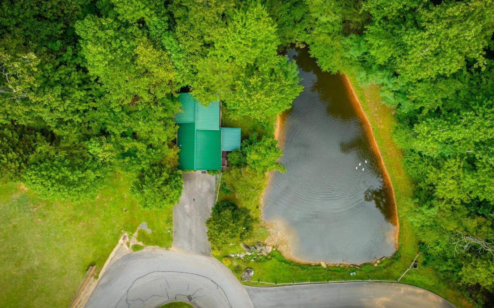 Hugs N Kisses Pool Table Hot Tub Pool Table Community Pool Close To Downtown Gatlinburg Eksteriør bilde